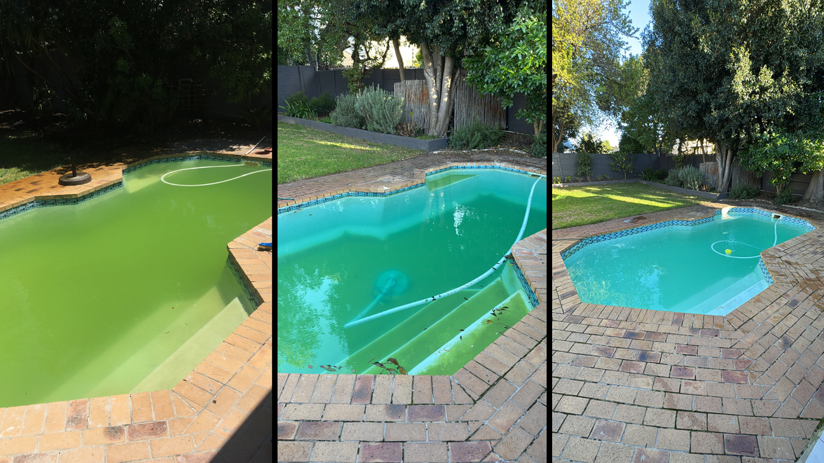 How to turn your green pool blue - a rite of passage to manhood